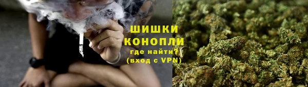ECSTASY Бородино