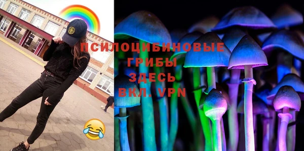 ГАЛЛЮЦИНОГЕННЫЕ ГРИБЫ Бугульма