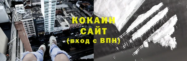 ECSTASY Бородино